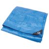 Performance Tool Blue Standard Duty Tarp: 10' x 20'