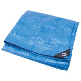 Performance Tool Blue Standard Duty Tarp: 10' x 20'