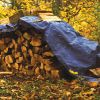 Performance Tool Blue Standard Duty Tarp: 10' x 20'