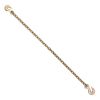 G80 Transport Binder Chain, 5/16" x 10.3' 2-Pack Tow Chain with Clevis Grab Hooks, 4900 lbs Safe Working Load