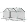 4' x 2' x 2' Portable Mini Greenhouse, Small Green House with PVC Cover, Roll-up Zippered Windows for Indoor, Outdoor Garden, Clear